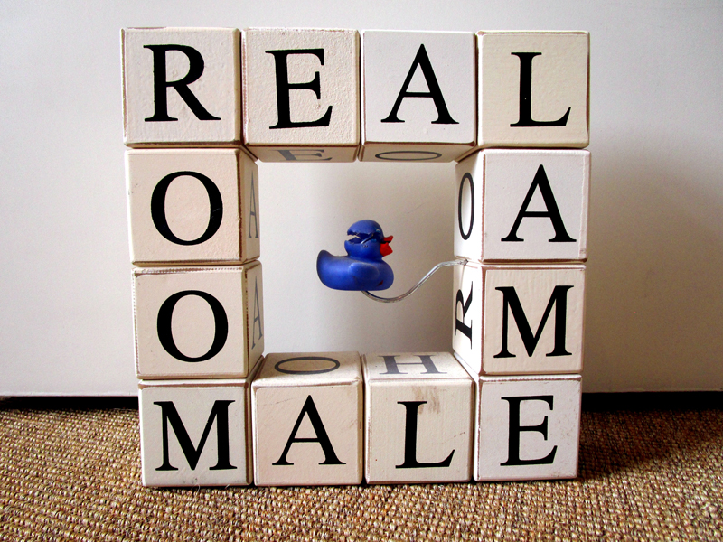 Real Lame Male Room